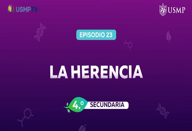 Capítulo N° 23 - La Herencia